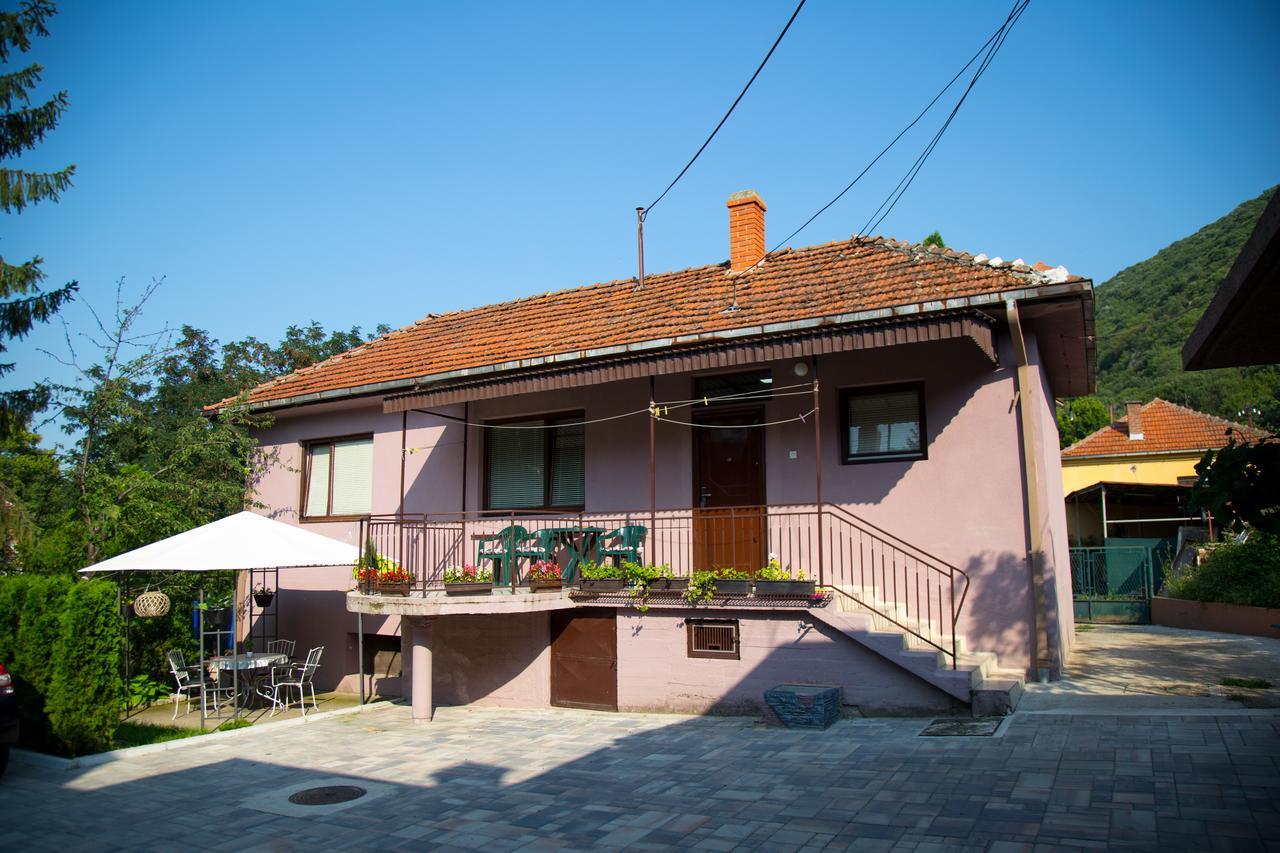 Apartments Cvetkovic Relax Niska Banja Extérieur photo